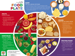 food plate photo